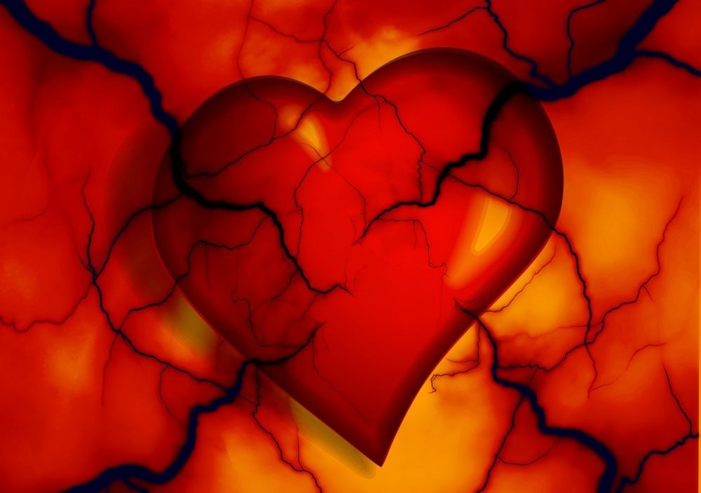 heart with blood vessels visualising cholesterol