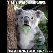 Koala bear with eucalyptus in mouth with words "Statistical Significance doesn't explain everything?"